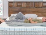 Tn.com Mattress Reviews Sleepovation 700 Tiny Mattresses In One for Back Pain Relief