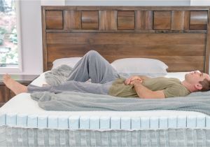 Tn.com Mattress Reviews Sleepovation 700 Tiny Mattresses In One for Back Pain Relief