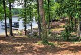 Toledo Bend Lakefront Homes for Sale 4 Bed 3 Bath Home In Burkeville for 399 000