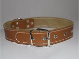 Tooled Leather Dog Collars Uk Handmade Dog Collars Leather Traditional Design