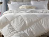 Top Rated All Season Down Alternative Comforter All Season Down Alternative Comforter Reviews Joss Main