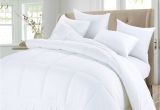 Top Rated All Season Down Alternative Comforter Alwyn Home All Season Down Alternative Comforter Duvet