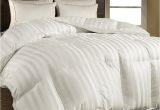 Top Rated All Season Down Alternative Comforter Alwyn Home All Season Down Alternative Comforter Reviews