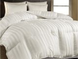 Top Rated All Season Down Alternative Comforter Alwyn Home All Season Down Alternative Comforter Reviews