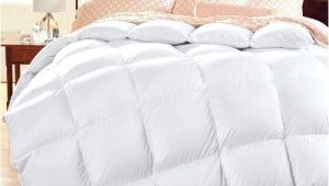 Top Rated Comforters Down Alternative Best Rated Down Comforter Best Down Comforters top Rated