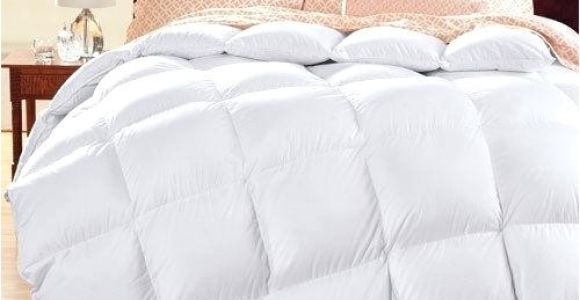 Top Rated Comforters Down Alternative Best Rated Down Comforter Best Down Comforters top Rated