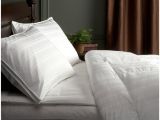 Top Rated Feather Down Comforter Best Down Comforter for Hot Sleepers Best Goose Down