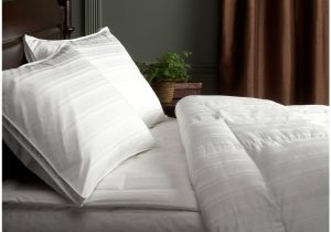Top Rated Feather Down Comforter Best Down Comforter for Hot Sleepers Best Goose Down