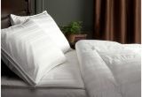 Top Rated Goose Down Comforters Best Down Comforter for Hot Sleepers Best Goose Down