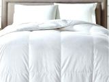 Top Rated Goose Down Comforters Best Rated Down Comforter Bedding Thread Count Cotton