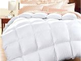 Top Rated Goose Down Comforters Best Rated Down Comforter Best Down Comforters top Rated