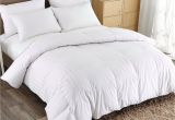 Top Rated Lightweight Down Comforters Puredown Lightweight Down Comforter Reviews Wayfair
