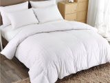 Top Rated Lightweight Down Comforters Puredown Lightweight Down Comforter Reviews Wayfair