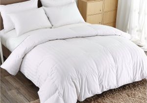 Top Rated Lightweight Down Comforters Puredown Lightweight Down Comforter Reviews Wayfair