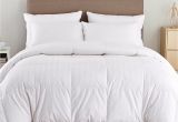 Top Rated Lightweight Down Comforters Puredown Lightweight Down Comforter Reviews Wayfair