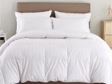 Top Rated Lightweight Down Comforters Puredown Lightweight Down Comforter Reviews Wayfair