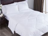 Top Rated Lightweight Down Comforters Puredown Lightweight Down Comforter Reviews Wayfair