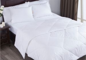 Top Rated Lightweight Down Comforters Puredown Lightweight Down Comforter Reviews Wayfair