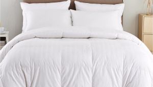 Top Rated Lightweight Down Comforters Puredown Lightweight Down Comforter Reviews Wayfair