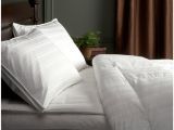 Top Rated White Goose Down Comforters Best Down Comforter for Hot Sleepers Best Goose Down