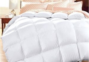 Top Rated White Goose Down Comforters Best Rated Down Comforter Best Down Comforters top Rated