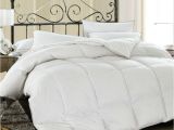 Top Rated White Goose Down Comforters Peter Khanun White Goose Down Spring Autumn Quilt