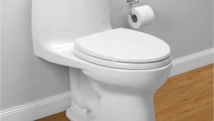 Toto Ultramax Ii Review toto Ultramax Ii Review is It Worth Buying Shop toilet