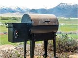 Traeger Grills Tfb38tca Renegade Elite Review Traeger Renegade Elite Grill Reviews Grilling Your Way to