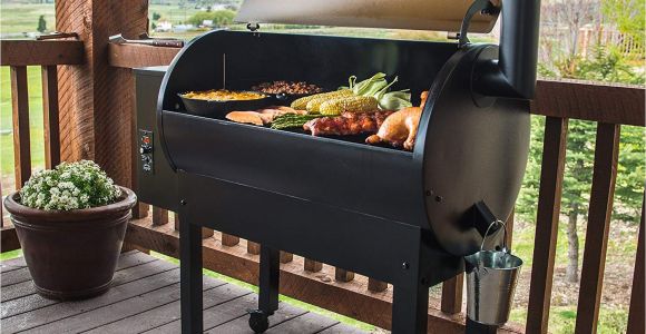 Traeger Grills Tfb38tca Renegade Elite Review Traeger Renegade Elite Grill Reviews Grilling Your Way to