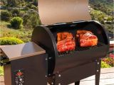 Traeger Renegade Elite Price Traeger Junior Elite Grill Review to Buy or Not to Buy