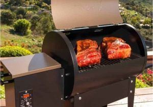 Traeger Renegade Elite Price Traeger Junior Elite Grill Review to Buy or Not to Buy