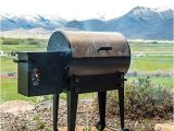 Traeger Renegade Elite Price Traeger Renegade Elite Grill Reviews Grilling Your Way to