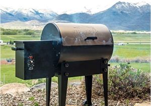 Traeger Renegade Elite Price Traeger Renegade Elite Grill Reviews Grilling Your Way to