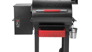 Traeger Renegade Elite Reviews 2018 Traeger Grills Tfb38tca Renegade Elite Wood Pellet Grill