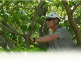 Tree Service Lawrence Ks Mulford 39 S Tree Service Tree Services Lawrence Ks