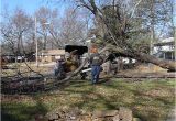 Tree Service Lawrence Ks Multiple Tree Removals Lawrence Ks forest Keepers