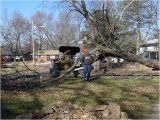 Tree Service Lawrence Ks Multiple Tree Removals Lawrence Ks forest Keepers