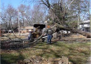 Tree Service Lawrence Ks Multiple Tree Removals Lawrence Ks forest Keepers