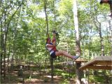 Tree toppers Dade City Giveaway Four Tickets to Treehoppers Adventure Park In