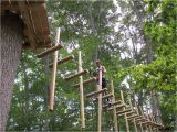 Tree toppers Dade City Giveaway Four Tickets to Treehoppers Adventure Park In