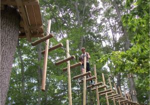 Tree toppers Dade City Giveaway Four Tickets to Treehoppers Adventure Park In