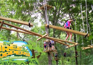 Tree toppers Dade City October 2018 Hours Prices Treehoppers Aerial Zip Line