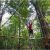 Tree toppers Dade City Treehoppers Comes to Dade City Florida