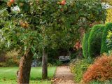 Trees that Grow Well In Colorado the Apple Trees to Pick for A Home Garden Wsj