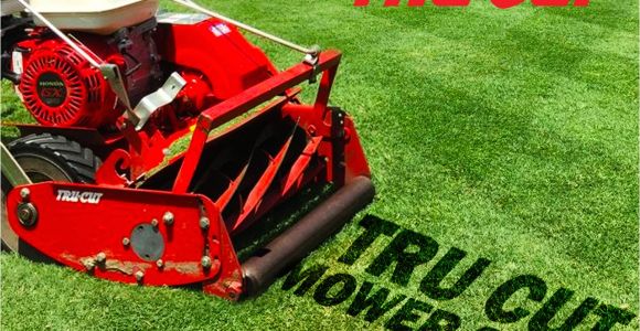 Tru Cut Reel Mower Parts 7 Blade Reel Mowers Lawn Mowers Parts and Service Your