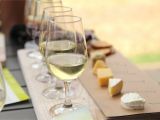 True north Wine Glass Albuquerque Wineries and Wine Tasting Rooms