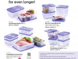 Tupperware Catalog 2019 Usa 01 Oct 2018 11 Nov 2018 Tupperware Plus