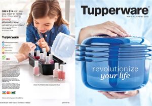 Tupperware Catalog 2019 Usa Carol S Winter Spring 2019 Brochure by Carol Link issuu