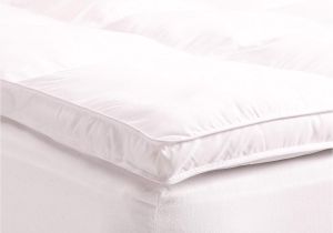 Twin Vs Twin Xl Mattress Pad Amazon Com Superior Twin Mattress topper Hypoallergenic White Down