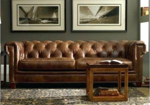 Types Of Fake Leather Couches Types Of Leather sofa Baci Living Room